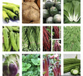 Asian Vegetable Seeds Pack - 20 Varieties Non-GMO Heirloom Seeds for Planting - Garden, Container, Raised Bed