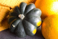 Giant Acorn Squash Seeds - 50 Pack - Nutritious Cucurbita maxima for Home Garden Planting