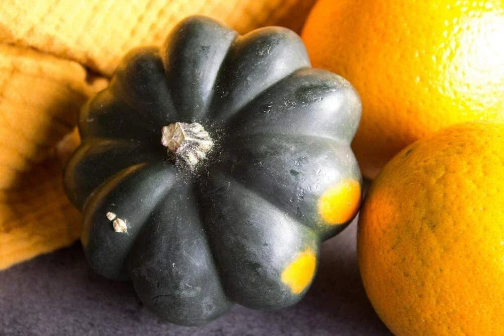 Giant Acorn Squash Seeds - 50 Pack - Nutritious Cucurbita maxima for Home Garden Planting
