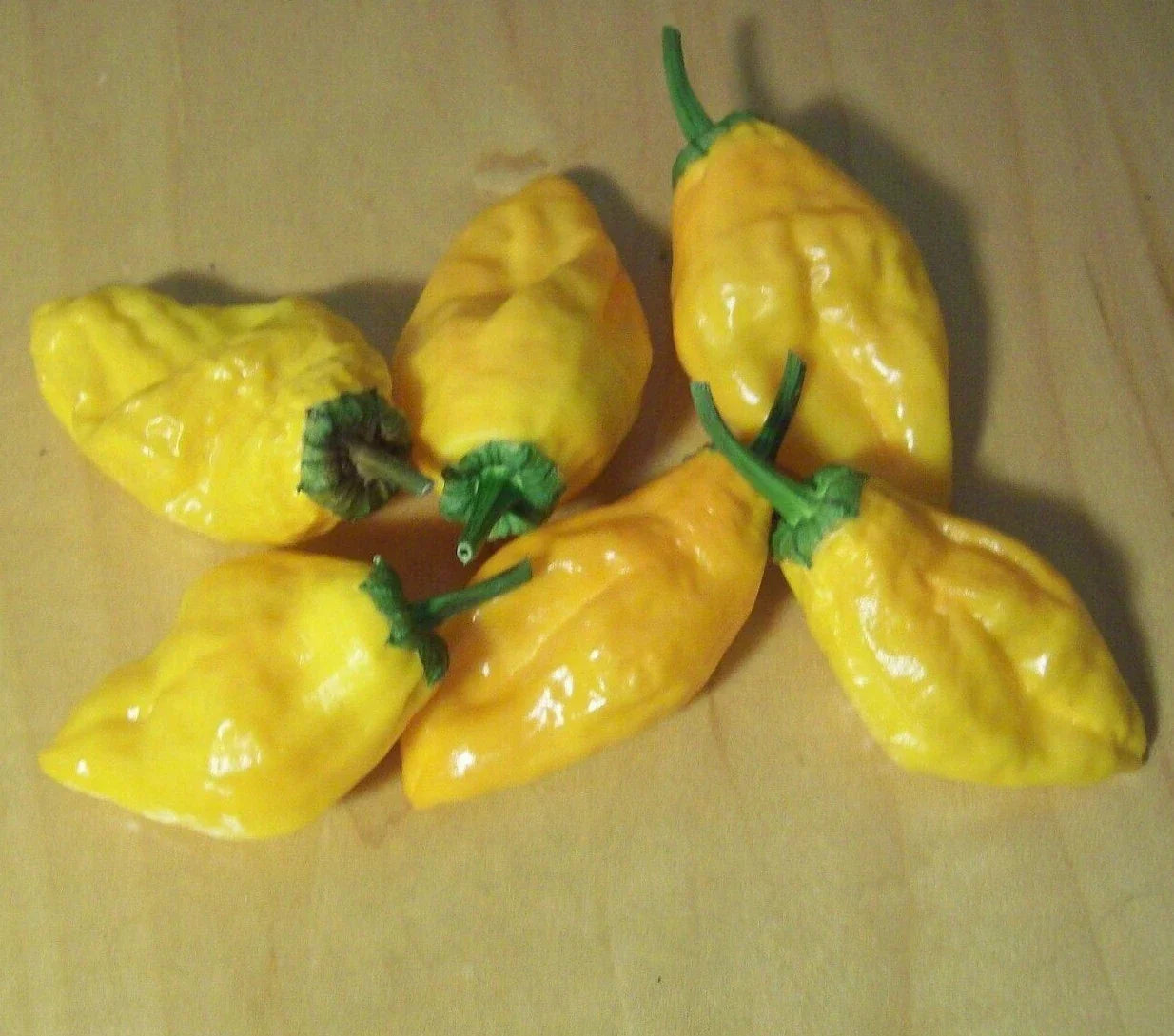 Pepperoncini Pepper Seeds 30+ Orange Capsicum annuum Culinary Spice for Salsa & Salads