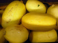 Spaghetti Squash Seeds 20 Ct Heirloom Cucurbita pepo Winter Vegetable Garden Non-GMO
