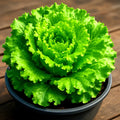 Black Seeded Simpson Lettuce Seeds - 2500+ Heirloom Non-GMO Organic Vegetable Seeds for Home Gardening