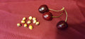 Cherry Fruit Tree Seeds - 37 Count, Organic Sweet Cherry Variety, Prunus avium, Grow Your Own Cherry Tree