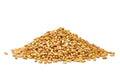 Wheat Cover Crop Seeds Non-GMO Winter Wheat Triticum aestivum for Food Plots & Wildlife Habitat