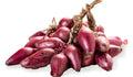 Tropea Lunga Onion Seeds - 500+ Pack, Italian Sweet Allium cepa, Garden Planting, Non-GMO, Full Sun, USA
