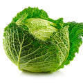 Savoy Cabbage Seeds, 500+ Non-GMO Brassica oleracea var. sabauda, Curly Leaf, Organic Garden Planting