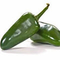 Jalapeno Pepper Seeds - Heirloom, Non-GMO, Capsicum annuum, 200+ Fresh Seeds for Spicy Cooking & Gardening