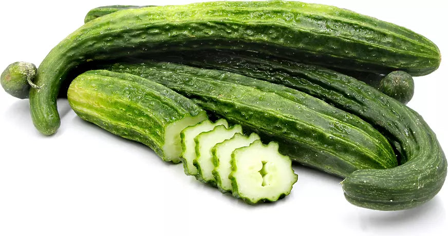 Suyo Long Cucumber Seeds - 100+ Organic Heirloom Non-GMO Cucumis sativus, Long, Slender, Crisp, Sweet Flavor, Disease-Resistant