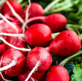 Cherry Belle Radish Seeds - Non-GMO, 1000 Seeds, Fast-Growing, Heirloom Raphanus sativus, Compact, Edible Roots, Organic Gardening
