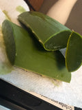 Organic Aloe Vera Fresh Leaves - 1/2 Pound (8 Oz) All-Natural Aloe Barbadensis Miller for Skincare & Remedies