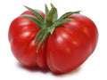 Beefsteak Tomato Seeds Organic Heirloom Non-GMO 120+ Large Solanum lycopersicum for Home Gardening