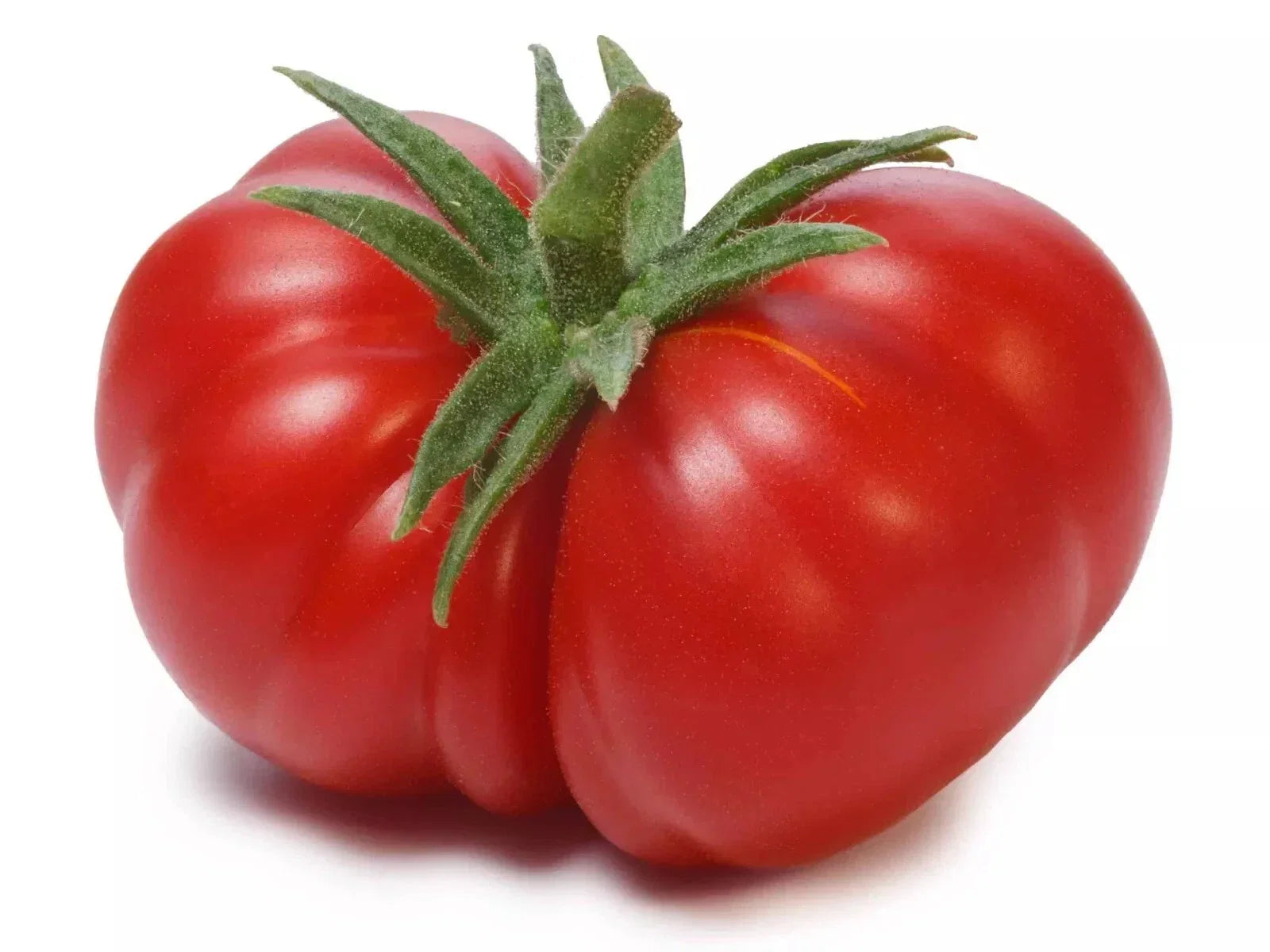 Beefsteak Tomato Seeds Organic Heirloom Non-GMO 120+ Large Solanum lycopersicum for Home Gardening