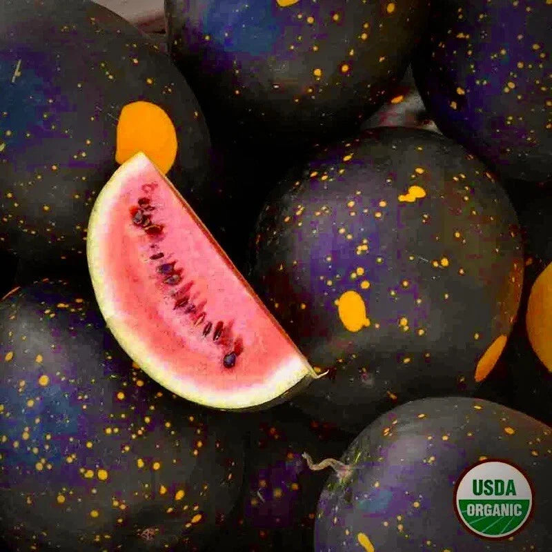 Moon and Stars Red Cherokee Watermelon Seeds - Non-GMO Heirloom Citrullus lanatus, Vining, Sweet, Juicy, Unique Rind Pattern Pack of 20