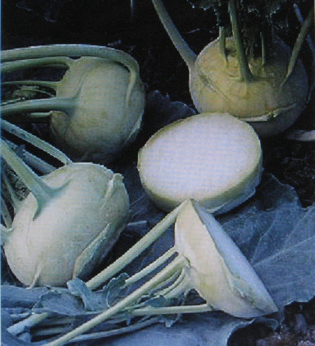 Kohlrabi Seeds - Early White Vienna - Tender Brassica oleracea - 100 Seeds for Home Garden, Salad, Stir-fry