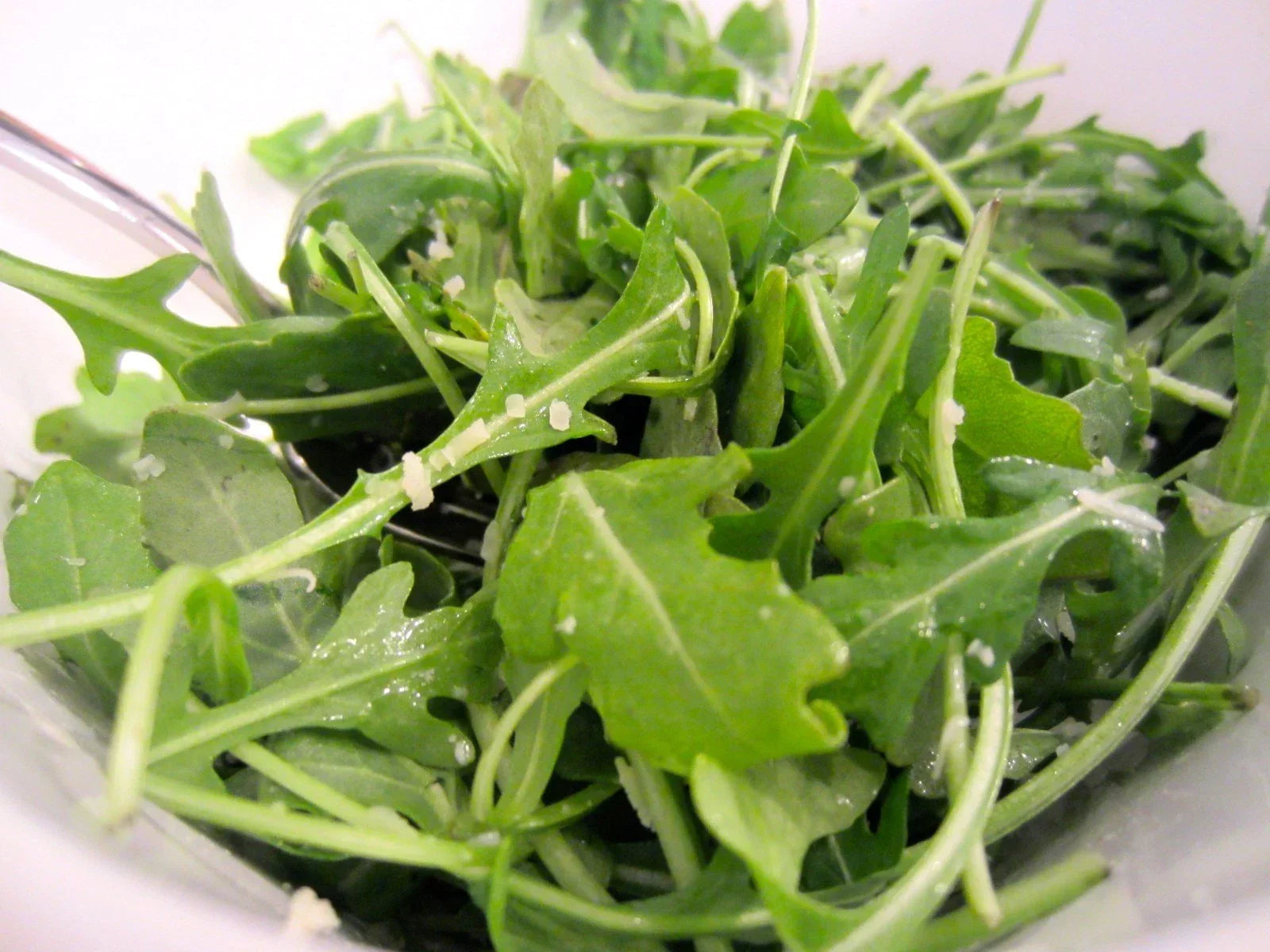 Organic Arugula Seeds Roquette for Spring & Fall Garden, Patio, Containers - Eruca sativa, 600+ Seeds