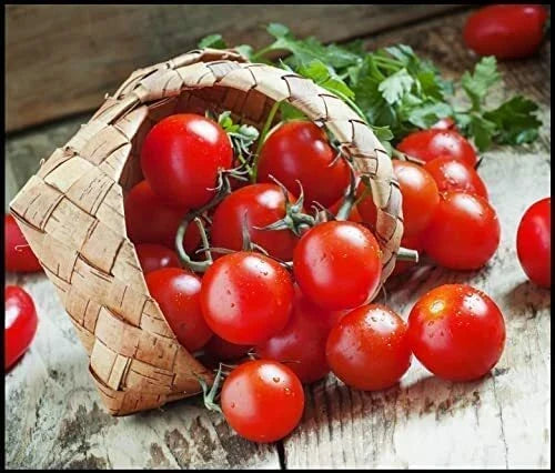 Cherry Tomato Seeds 300 Pack, Heirloom Solanum lycopersicum, Juicy, Sweet, for Garden & Container Planting