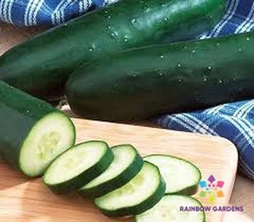 Diomede Cucumber Seeds - 25+ Pack, Cucumis sativus, Garden Planting, Homegrown, Non-GMO, Climbing Vine