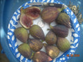 Longue D'Aout Fig Tree Cuttings Set – 5 Pcs Ficus carica for Large, Sweet Figs, Home Garden & Container Planting