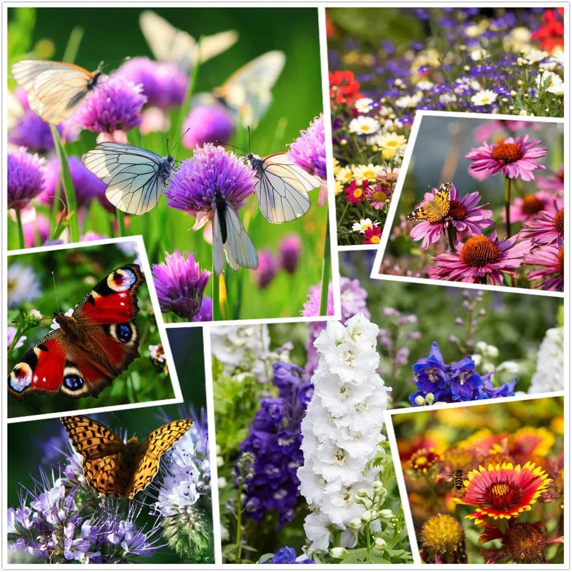 Wildflower Seeds Mix 2oz Non-GMO Perennial Annual Flower Seeds for Garden, Meadow & Pollinators