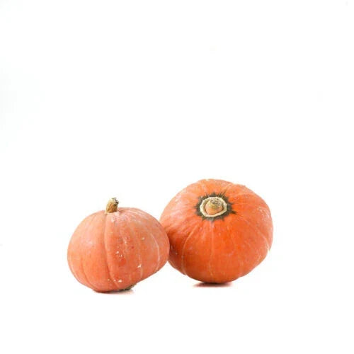 Gold Nugget Squash Seeds - Heirloom Cucurbita maxima, 25+ Pack, Organic, Home Garden, Compact Bush, Full Sun, Non-GMO