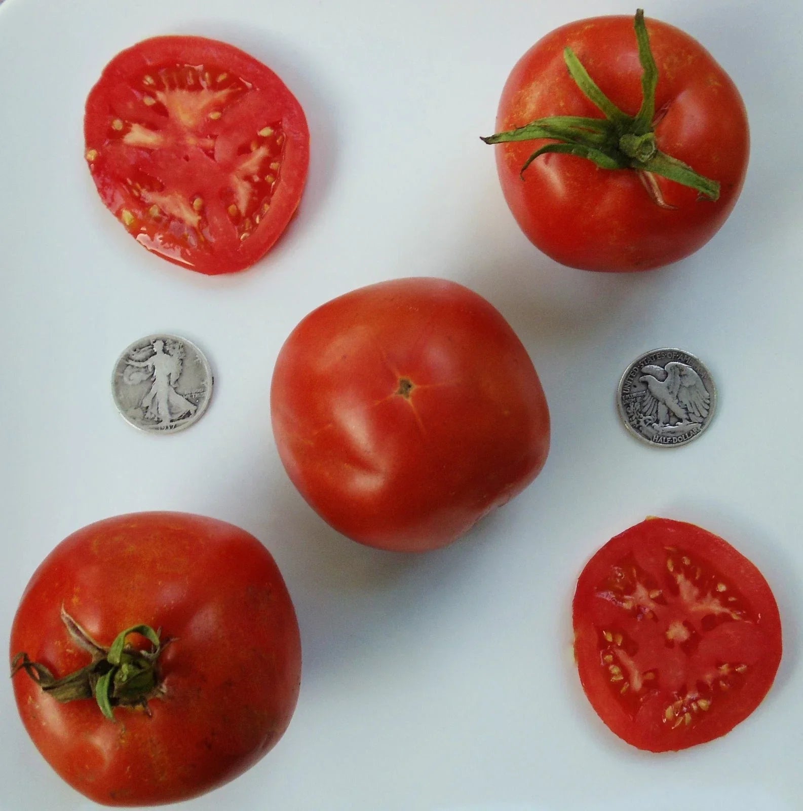 Marglobe Supreme Tomato Seeds – 25 Fresh Heirloom Solanum lycopersicum for Home Garden & Container Planting