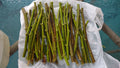 Hardy Chicago Fig Tree Cuttings - 12 Organic Ficus carica Propagation Branches for Garden or Container