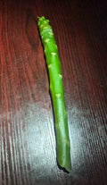 Plumeria Cuttings 8-12 inch Unrooted White & Rainbow Varieties Frangipani
