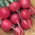 Cherry Belle Radish Seeds, Non-GMO, Heirloom, AAS Winner, Raphanus sativus, Fast-Growing, Crisp, Salad Radishes, Seed Packet