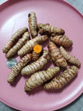 Fresh Turmeric Roots for Growing - Organic Live Roots - Curcuma longa - 8 Ounce Planting Roots