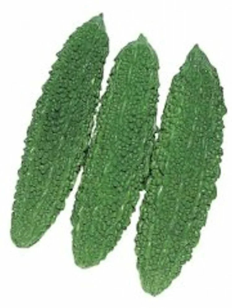 Bitter Gourd Seeds Futo Spindle Heirloom Non-GMO Gardening Seeds for Home Growers Cucurbita max