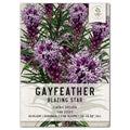 Gayfeather Wildflower Seeds - Liatris spicata - Native Perennial Flower Seeds for Pollinator Gardens