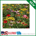Wildflower Seed Mix 1 lb Native Annual & Perennial Flowers Eco-Friendly Pollinator Garden Seeds