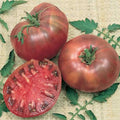 Cherokee Purple Tomato Seeds - Heirloom, Non-GMO, Indeterminate, Solanum lycopersicum, Full Sun, Vegetable Garden