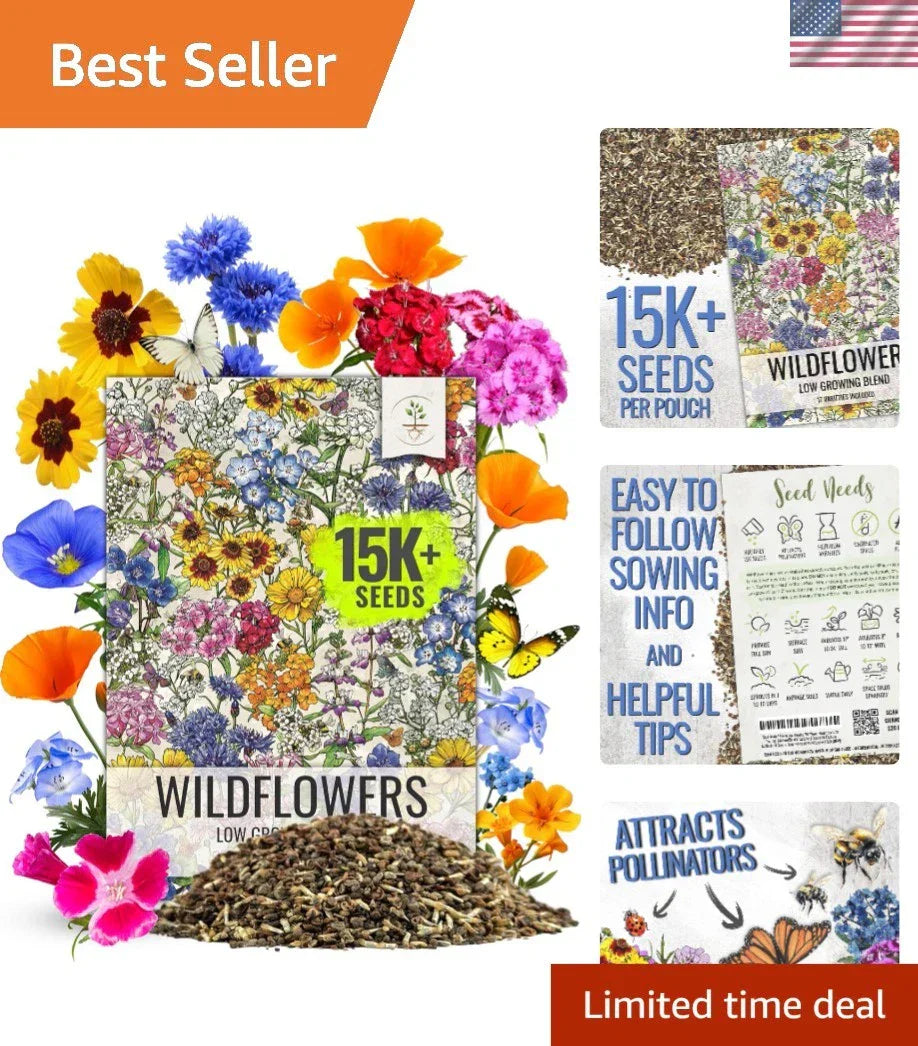 Wildflower Seeds Mix - Multicolored Low Growing - Attract Pollinators - Native Wildflowers - Drought-Tolerant Seed Packet
