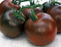 Black Prince Tomato Seeds - Organic Heirloom Non-GMO, Rare Solanum lycopersicum, Dark Purple/Black Fruits, 30+ Seeds