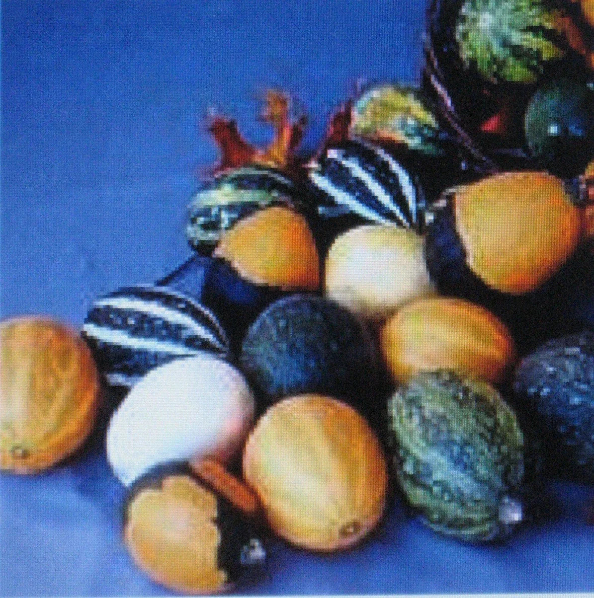 Gourd Seeds Mix for Crafts & Decorations – Large & Small Varieties – Lagenaria siceraria Seed Pack for Kids, Arts & Crafts Projects