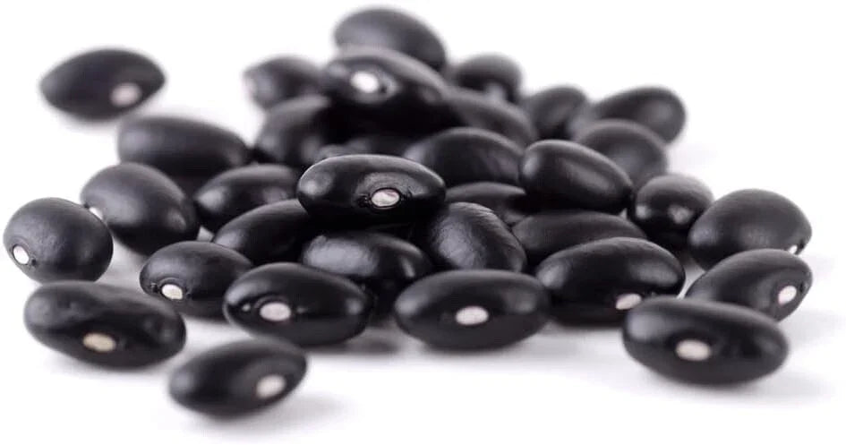 Cherokee Trail of Tears Bean Seeds - Heirloom Phaseolus vulgaris for Planting, Climbing Vine, 20 Seeds