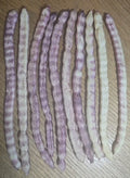 Velvet Mesquite Seed Pods - 10 Drought Tolerant Legume Seeds for Xeriscaping - Prosopis velutina