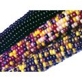 Ornamental Corn Seeds - Crossbow Variety - Multi-Colored Zea mays for Decorative Gardens and Landscaping