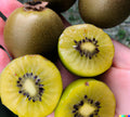 Golden Kiwi Seeds - 50+ Edible Fruit Vine for Home Gardening, Actinidia chinensis, Fast Growing Climber for Fences & Garden Beds