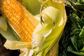 Bantam Sweet Corn Seeds for Planting - Heirloom Zea mays - Non-GMO, Compact, Fast-Growing, America's Favorite Sweet Corn