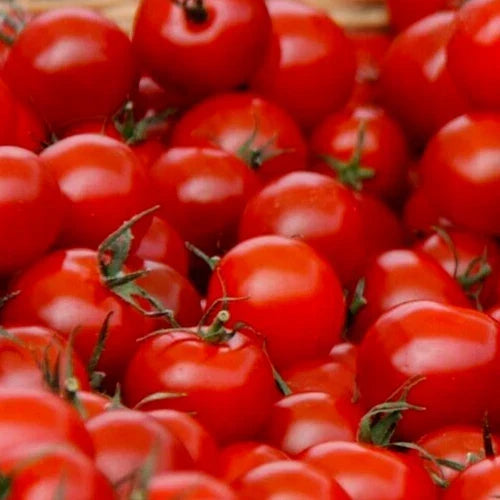 Small Red Cherry Tomato Seeds - 100+ Seeds for Garden, Salads, Sauces - Solanum lycopersicum