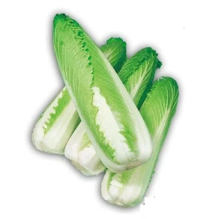Green Rocket Cabbage Seeds - Chinese Brassica rapa, Edible, Fast-Growing, 30 Seeds for Home Gardening & Containers