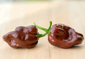 Chocolate Habanero Pepper Seeds - 25 Super-Hot Capsicum chinense for Culinary & Garden Use