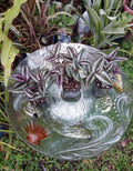 Tradescantia Zebrina Silver Plus Houseplant in 2.5" Pot, Indoor Wandering Jew with Silver-Striped Foliage
