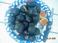 Fig Tree Cuttings 7 Pieces Negretta Variety Hardy Rock Ficus carica Propagation Plant