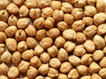 Garbanzo Bean Seeds 100 Count for Growing Chickpeas Cicer arietinum, Bushy Plants, Full Sun, Well-Drained Soil