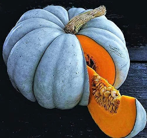 Jarrahdale Blue Pumpkin Seeds 10 Pack | Winter Squash | Sweet Queensland Cinderella Cucurbita maxima