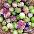 Organic Purple De Milpa Tomatillo Seeds - 50+ Pack, Non-GMO, Container Gardening, Physalis ixocarpa, Summer Vegetable Seeds