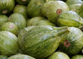 Ronde de Nice Squash Seeds - Heirloom Cucurbita pepo Pack for Gardening, 25+ Non-GMO Seeds, Full Sun, Compact Bush Plant